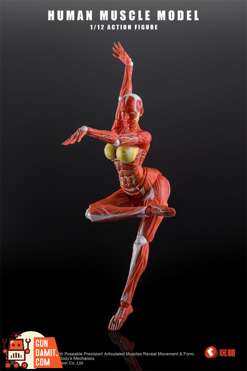 KEEPGOING 1/12 Human Female Muscle Model Super Movable Doll Red Color Ver. - View 8 KEEPGOING 1/12 Human Female Muscle Model Super Movable Doll Red Color Ver. - View 8