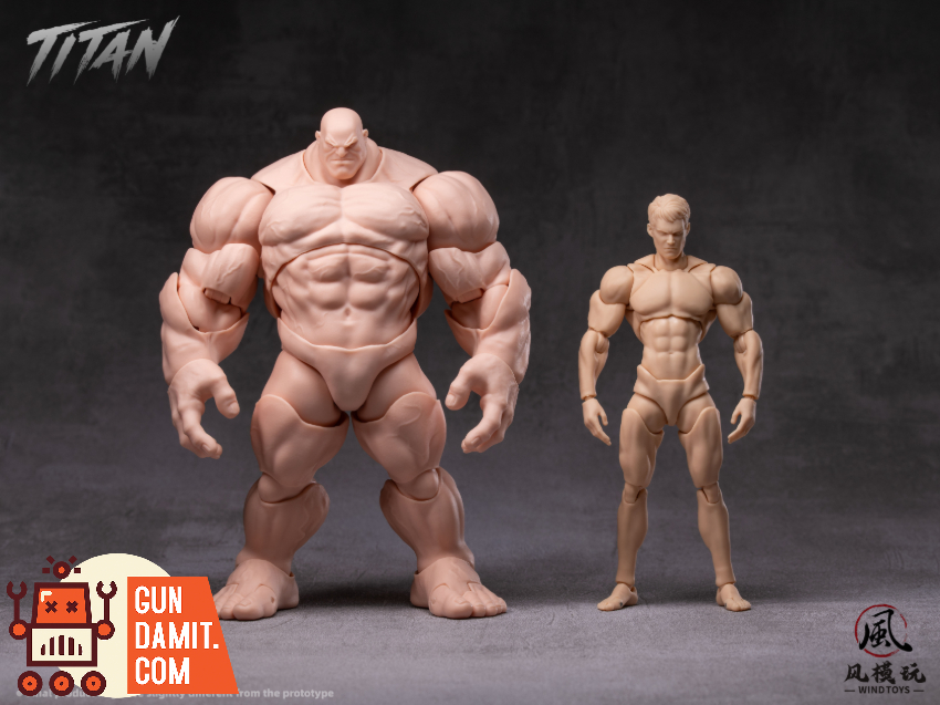 Wind Toys 1/12 FMW009 Super Movable Muscle Body Titan Light Skin Ver. - View 8 Wind Toys 1/12 FMW009 Super Movable Muscle Body Titan Light Skin Ver. - View 8