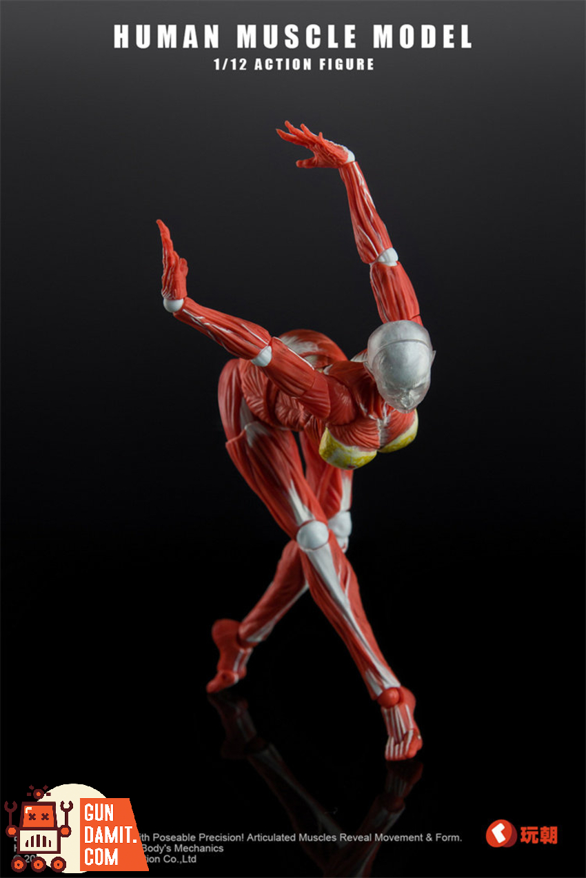 KEEPGOING 1/12 Human Female Muscle Model Super Movable Doll Red Color Ver. - View 2 KEEPGOING 1/12 Human Female Muscle Model Super Movable Doll Red Color Ver. - View 2