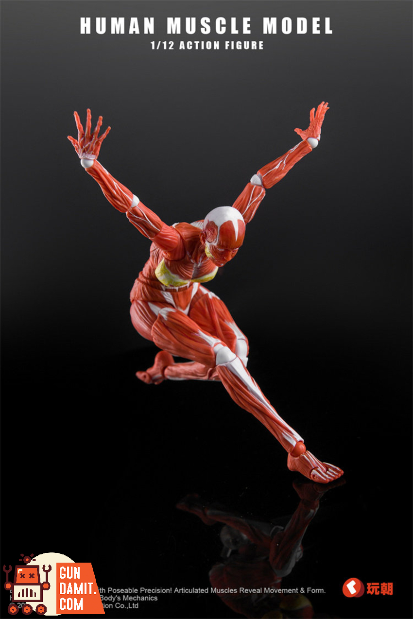KEEPGOING 1/12 Human Female Muscle Model Super Movable Doll Red Color Ver. - View 9 KEEPGOING 1/12 Human Female Muscle Model Super Movable Doll Red Color Ver. - View 9