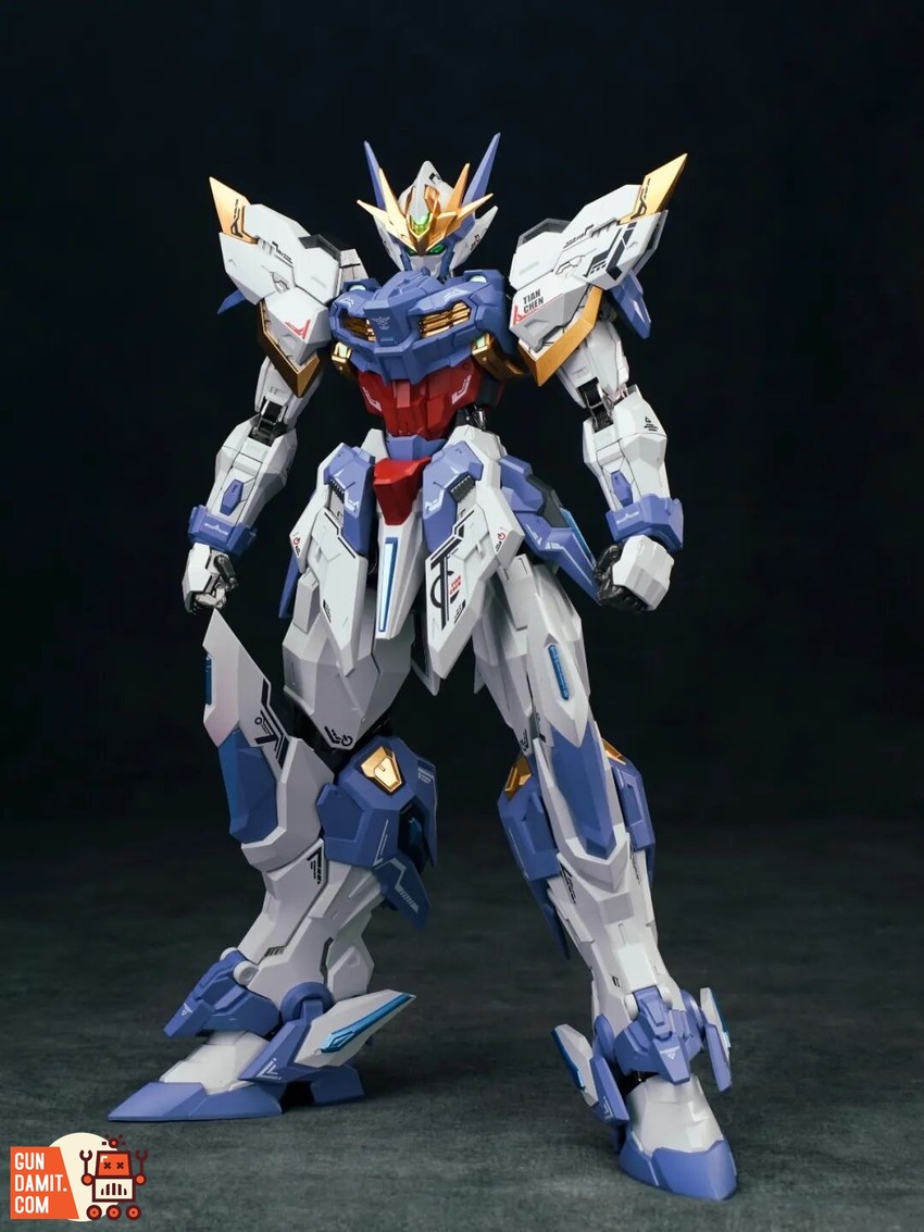 CangDao Model 1/100 CD-TG03 Tianchen - View 7 CangDao Model 1/100 CD-TG03 Tianchen - View 7
