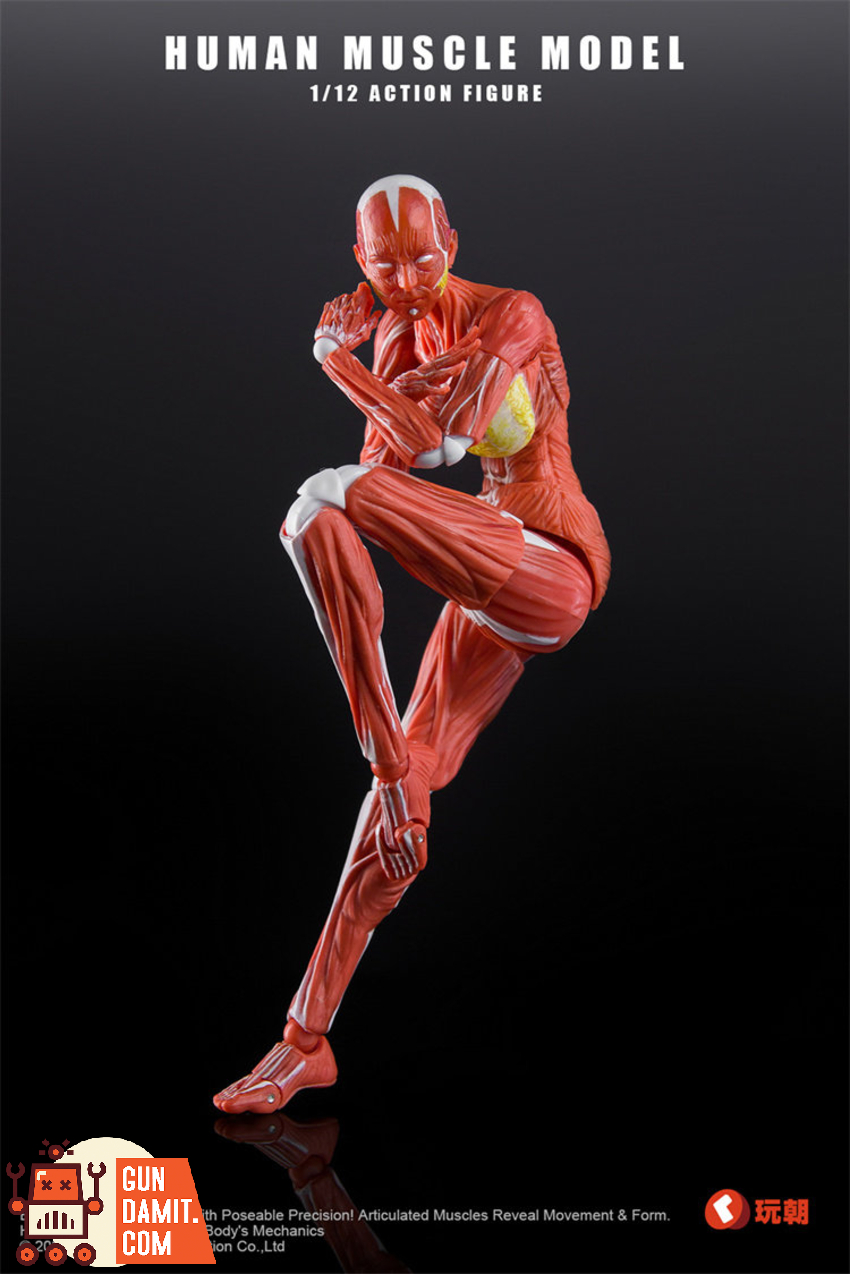 KEEPGOING 1/12 Human Female Muscle Model Super Movable Doll Red Color Ver. - View 5 KEEPGOING 1/12 Human Female Muscle Model Super Movable Doll Red Color Ver. - View 5