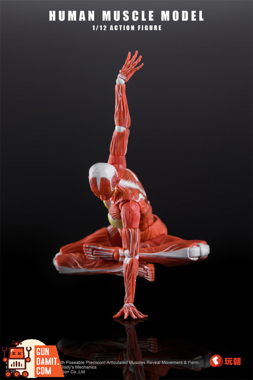 KEEPGOING 1/12 Human Female Muscle Model Super Movable Doll Red Color Ver. - View 6 KEEPGOING 1/12 Human Female Muscle Model Super Movable Doll Red Color Ver. - View 6