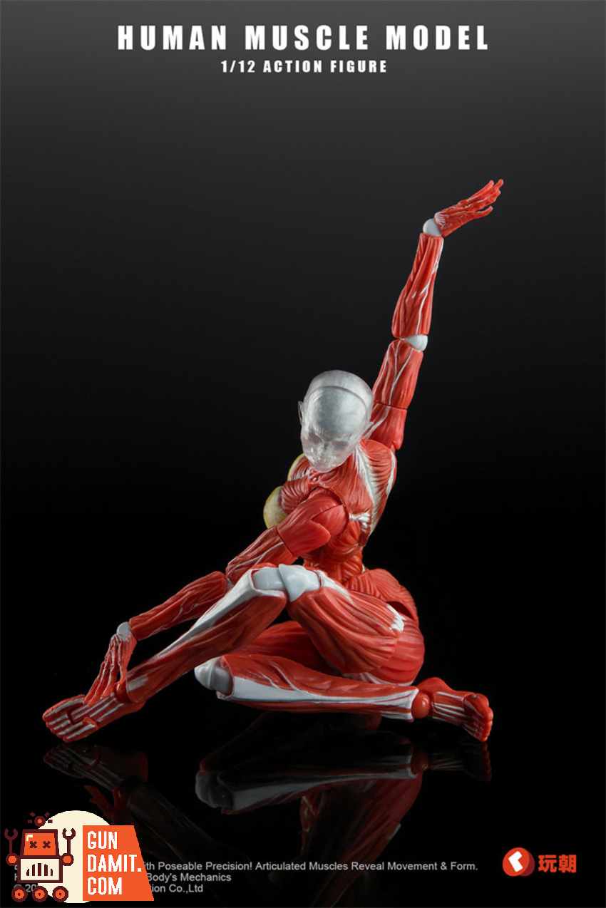 KEEPGOING 1/12 Human Female Muscle Model Super Movable Doll Red Color Ver. - View 4 KEEPGOING 1/12 Human Female Muscle Model Super Movable Doll Red Color Ver. - View 4