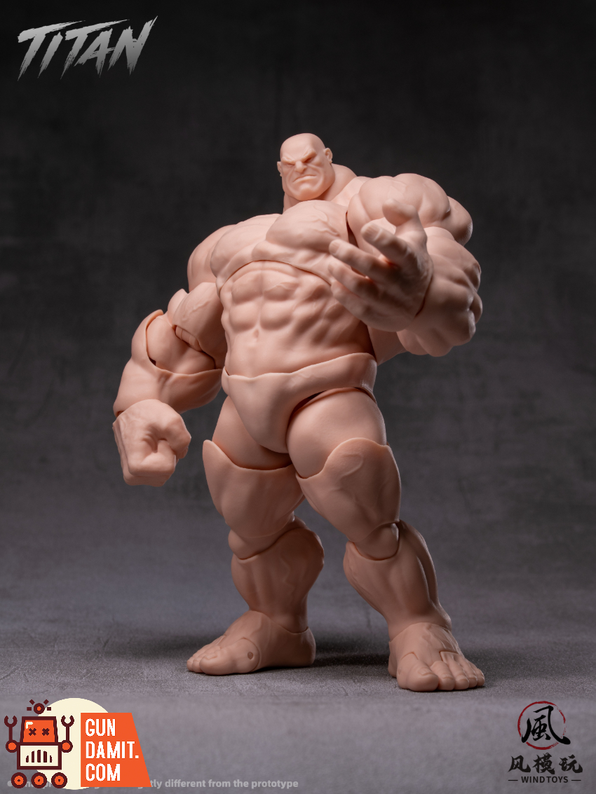 Wind Toys 1/12 FMW009 Super Movable Muscle Body Titan Light Skin Ver. - View 2 Wind Toys 1/12 FMW009 Super Movable Muscle Body Titan Light Skin Ver. - View 2