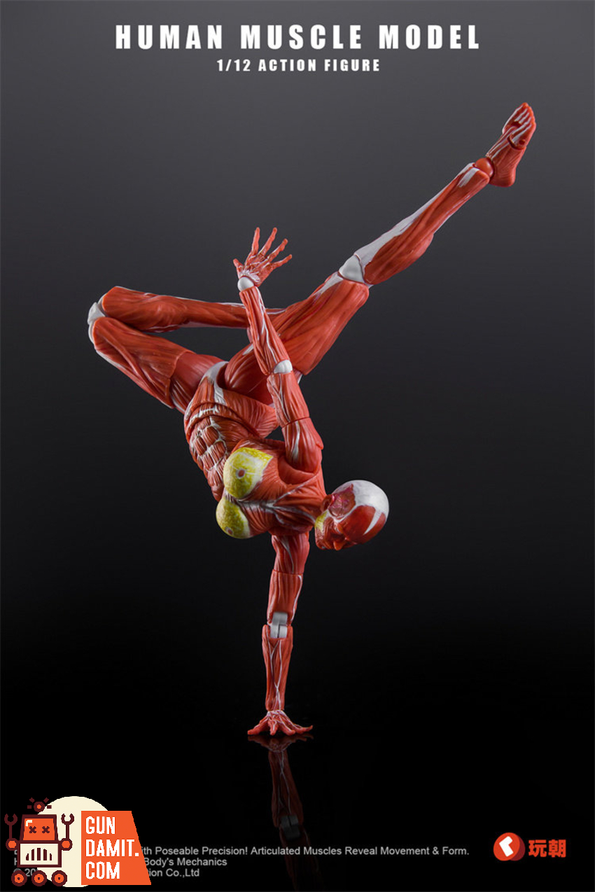 KEEPGOING 1/12 Human Female Muscle Model Super Movable Doll Red Color Ver. - View 7 KEEPGOING 1/12 Human Female Muscle Model Super Movable Doll Red Color Ver. - View 7
