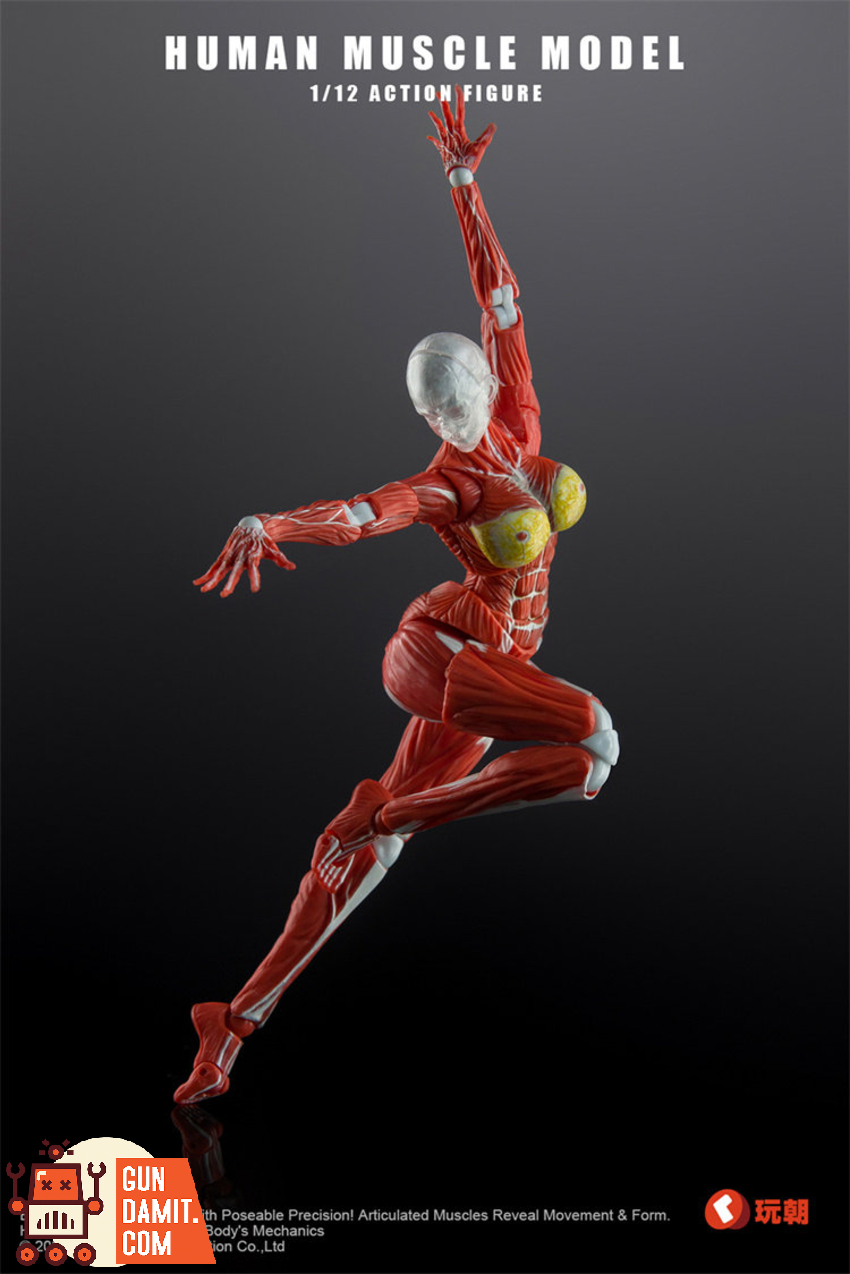 KEEPGOING 1/12 Human Female Muscle Model Super Movable Doll Red Color Ver. - View 3 KEEPGOING 1/12 Human Female Muscle Model Super Movable Doll Red Color Ver. - View 3