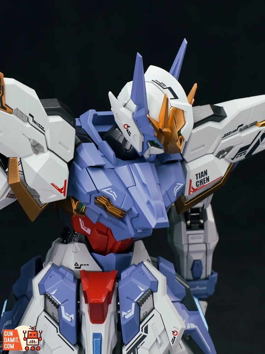 CangDao Model 1/100 CD-TG03 Tianchen - View 16 CangDao Model 1/100 CD-TG03 Tianchen - View 16
