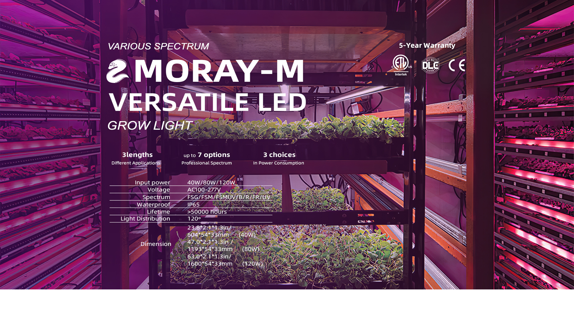 Moray-M LED grow lights