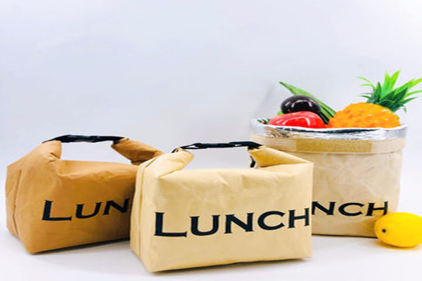Insulated paper bag for lunch