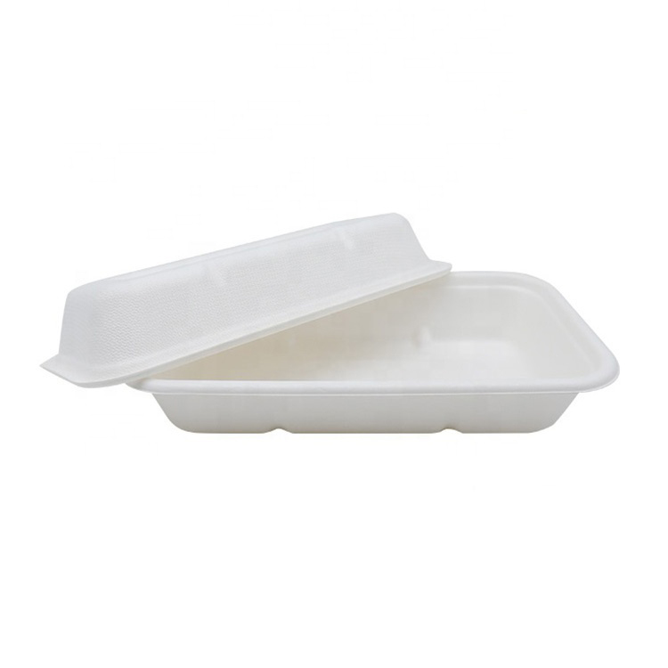 Disposable Tableware Bagasse Sugarcane Tray