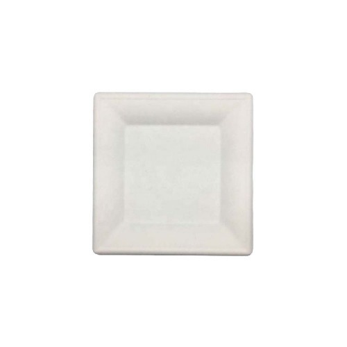 10" Square Sugarcane Plate