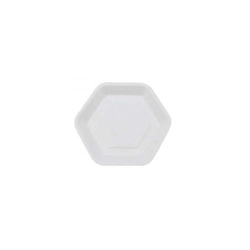 Hexagonal Finger Food Cake Sugarcane Plate