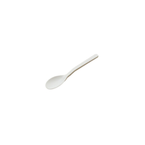 4" CPLA Tea Spoon