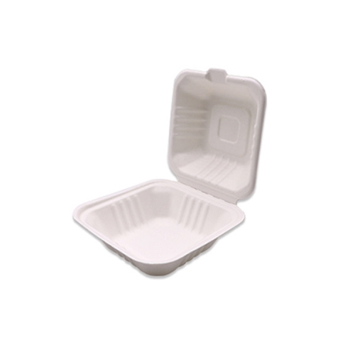 6*6*3 Sugarcane Food Container