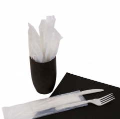 Disposable compostable biodegradable disposable fruit fork PLA cutlery set