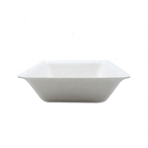 9.2 Inch Sugarcane biodegradable disposable bowl with lid