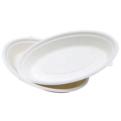 Compostable Bowl Takeaway Sugarcane Bagasse Oval Disposable Bowls