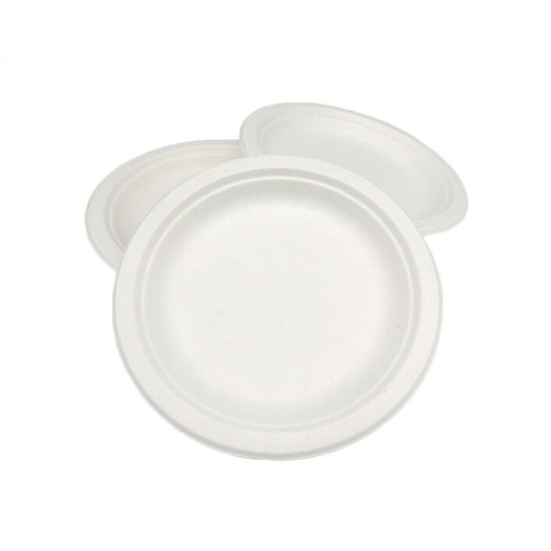 Food Safety Disposable Biodegradable Sugarcane Paper Plates