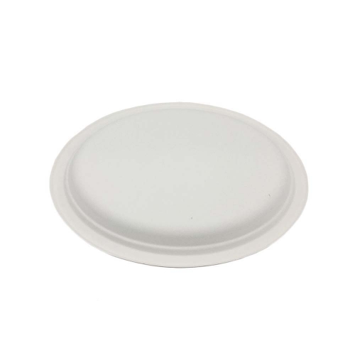 Sugarcane Bagasse Pulp Disposable Plates Biodegradable Paper Dinner Oval Plates For Restaurant