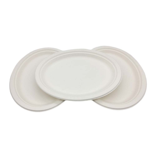 New arrival biodegradable sugarcane heavy weight oval plates