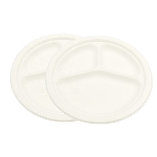 Disposable Biodegradable sugarcane bagasse tableware food plate