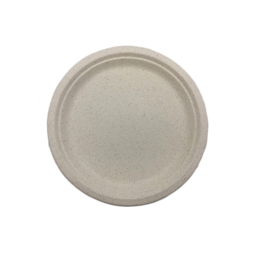 Sugarcane plate biodegradable disposable packaging party plates