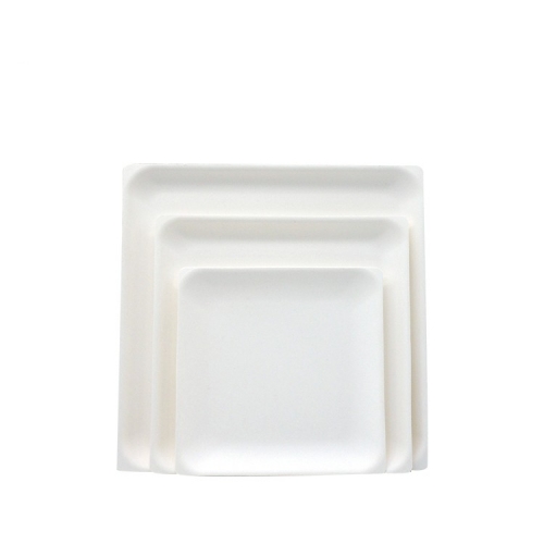 Disposable White square Plate Biodegradable Sugarcane bagasse Plates For Fruits