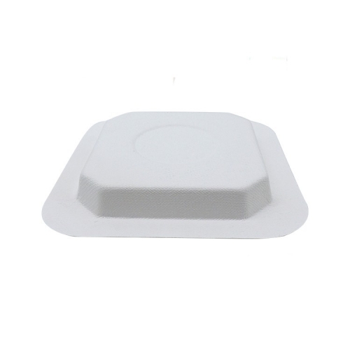 Top seller custom printed environmental friendly sugarcane plate