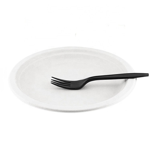 Eco Disposable Natural Bagasse Sugarcane Oval Plate