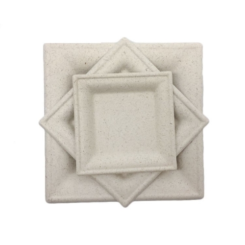 Hot Selling Biodegradable Paper Pulp Plate Compostable Sugarcane Bagasse Disposable Square Plate