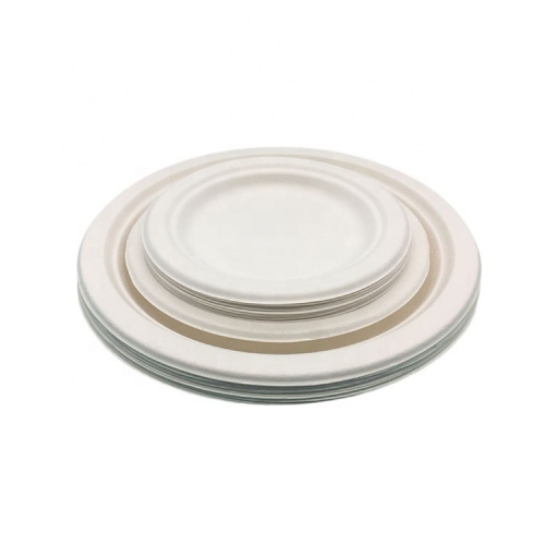 Biodegradable disposable bagasse round cake plate for cake shop