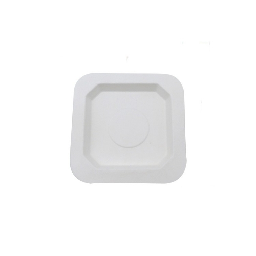 Composable Sugercane Square Plate Disposable Microwavable Plates