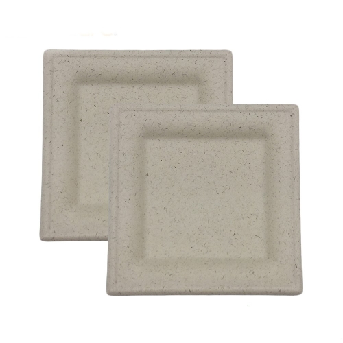 Disposable biodegradable eco sugarcane bagasse party plates square plates 10 inch