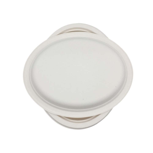 Cheap biodegradable bagasse tableware takeaway lunch oval plate