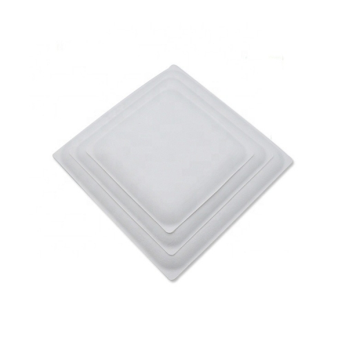 Chinese Supplier Compostable Bagasse Sugarcane Disposable Biodegradable Plates