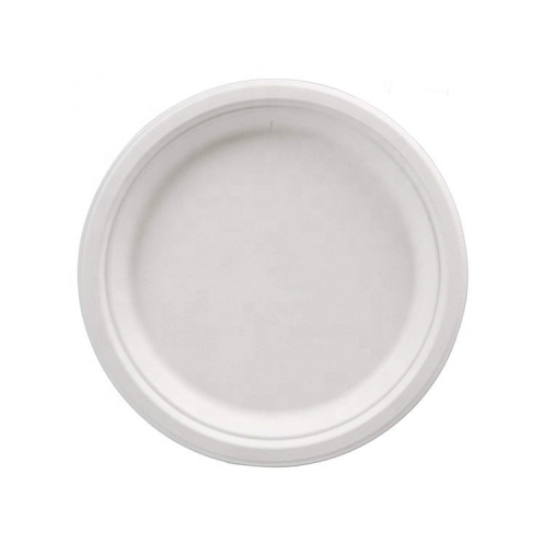 Amazon pack christmas compostable disposable pulp biodegradable sugarcane dishes plates