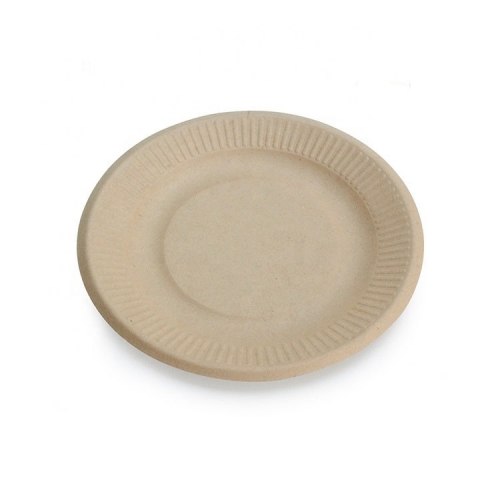 Biodegradable Plate Compostable Sugarcane Fibre Pulp Dinner Eco Friendly Disposable Plates