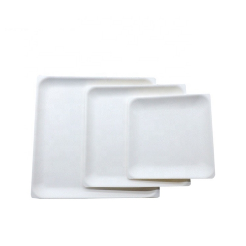 Disposable Biodegradable Square Plate Sugarcane Bagasse Plate For Fruit