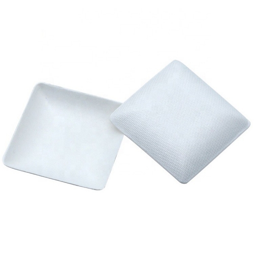 Eco-package Mini Style Bagasse Pulp Square Plate Sugarcane for Party