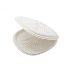 Disposable Bagasse Sugarcane Pizza Box Clamshell Biodegradable Box