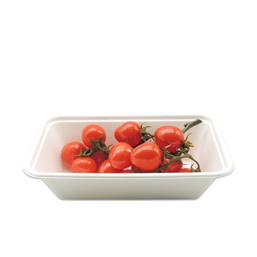 Waterproof & Oil proof disposable biodegradable rectangular bagasse food trays