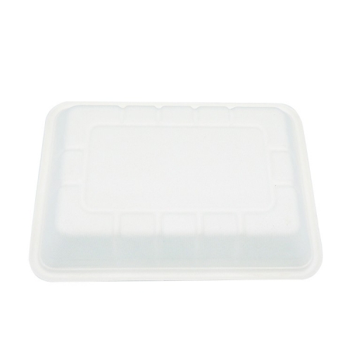 New Eco friendly biodegradable sugarcane meal tray for restaurant