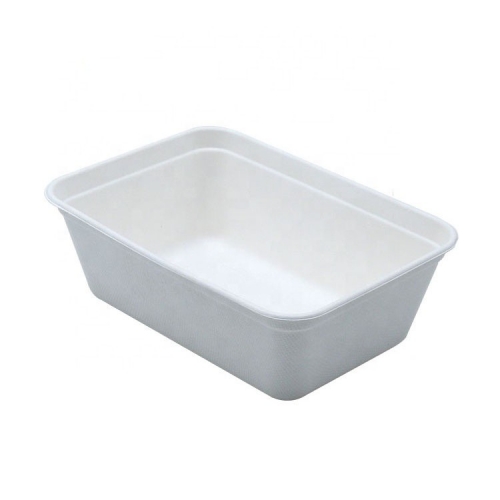 Airline Elegant Design Biodegradable Sugarcane Bagasse Sushi Tray