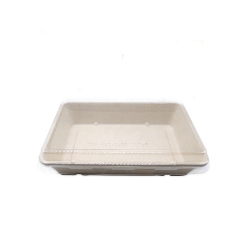 28oz Biodegradable Bagasse Sugarcane Compostable Tray With PET Lids