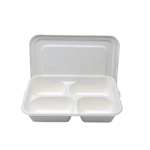 biodegradable disposable food tray