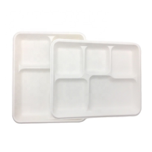 Biodegradable 5 Compartment Sugarcane Trays