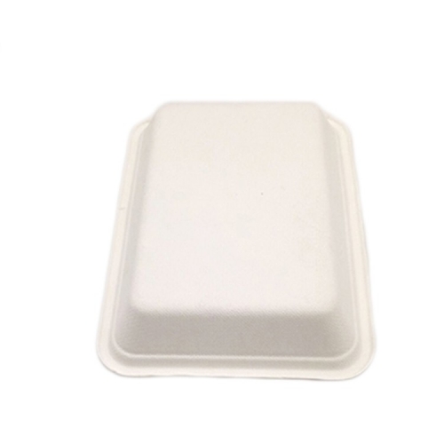 Biodegradable sugarcane bagasse rectangle fruit tray for travel party