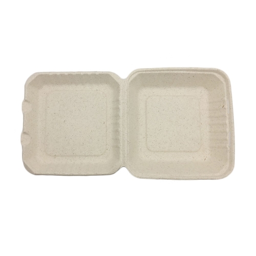 Wholesale Takeaway Biodegradable Bagasse Takeout Square Packaging Box Food Container