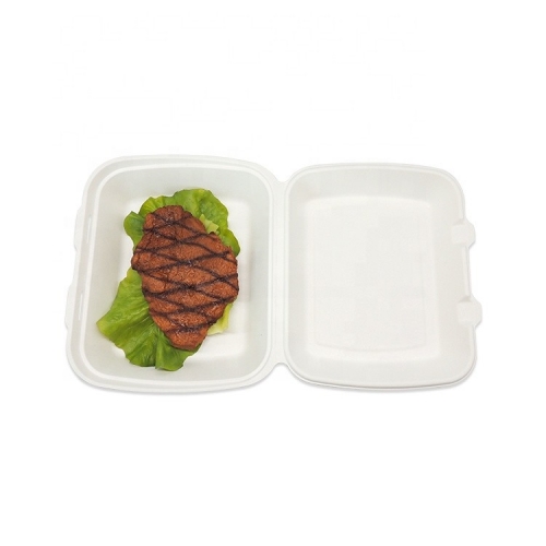 Simple and smooth disposable clamshell biodegradable sugarcane Lunch box